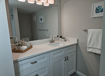 The palms of clearwater bathroom  (virtually staged)
